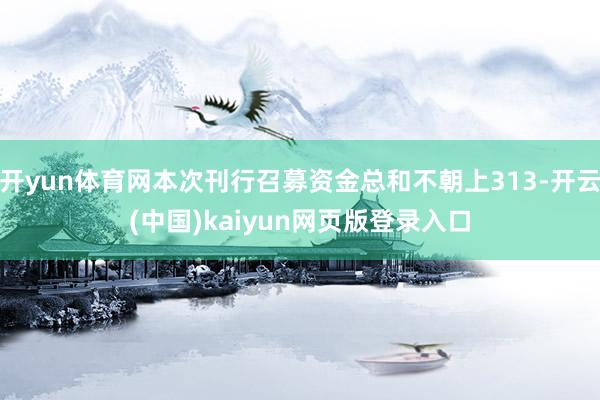 开yun体育网本次刊行召募资金总和不朝上313-开云(中国)kaiyun网页版登录入口
