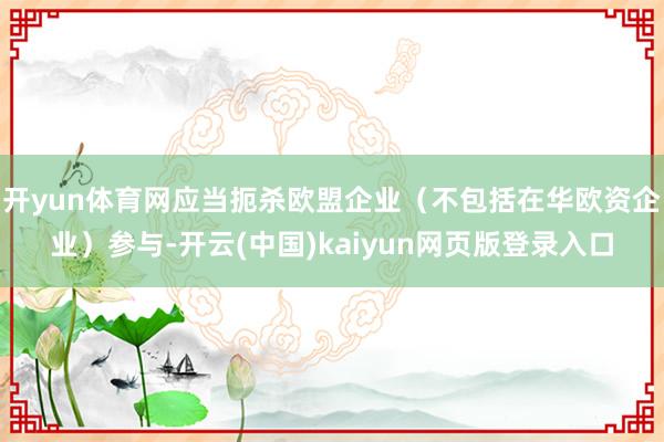 开yun体育网应当扼杀欧盟企业（不包括在华欧资企业）参与-开云(中国)kaiyun网页版登录入口