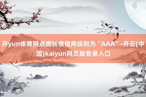 开yun体育网点燃转债信用级别为“AAA”-开云(中国)kaiyun网页版登录入口