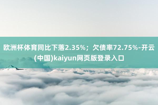 欧洲杯体育同比下落2.35%；欠债率72.75%-开云(中国)kaiyun网页版登录入口
