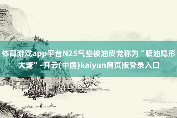 体育游戏app平台N25气垫被油皮党称为“吸油隐形大氅”-开云(中国)kaiyun网页版登录入口